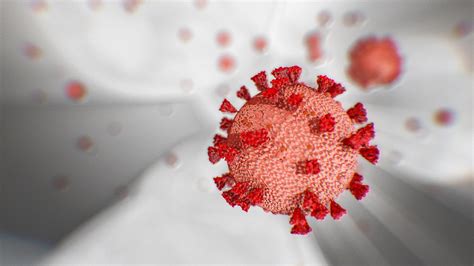 redfit|reddit coronavirus.